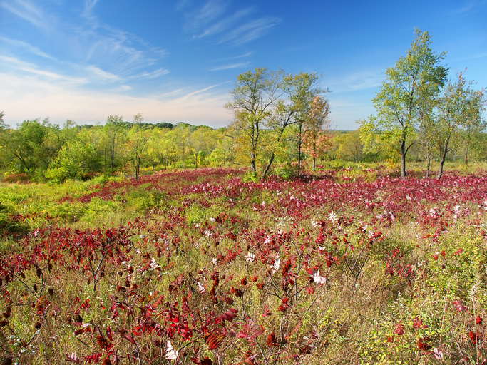 Beautiful hillside of the Kettle Moraine State Forest in Wisconsin.